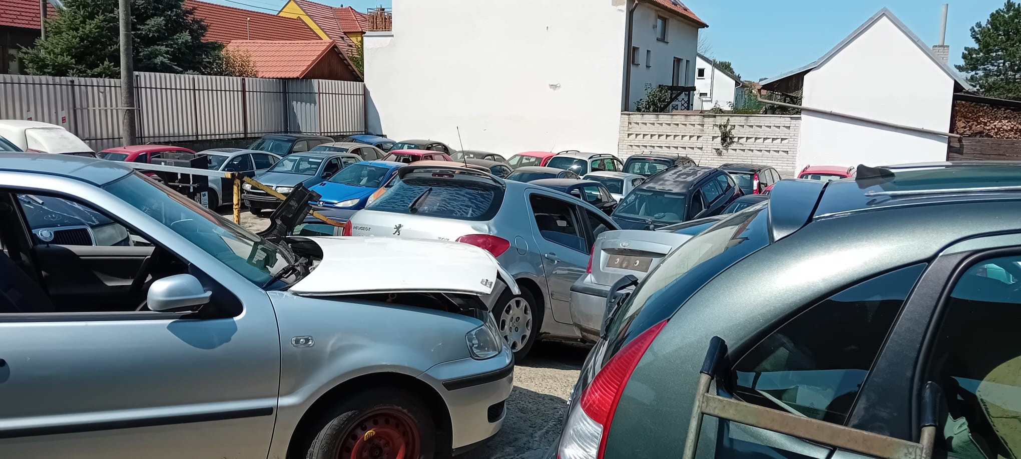 Placeholder Image 11